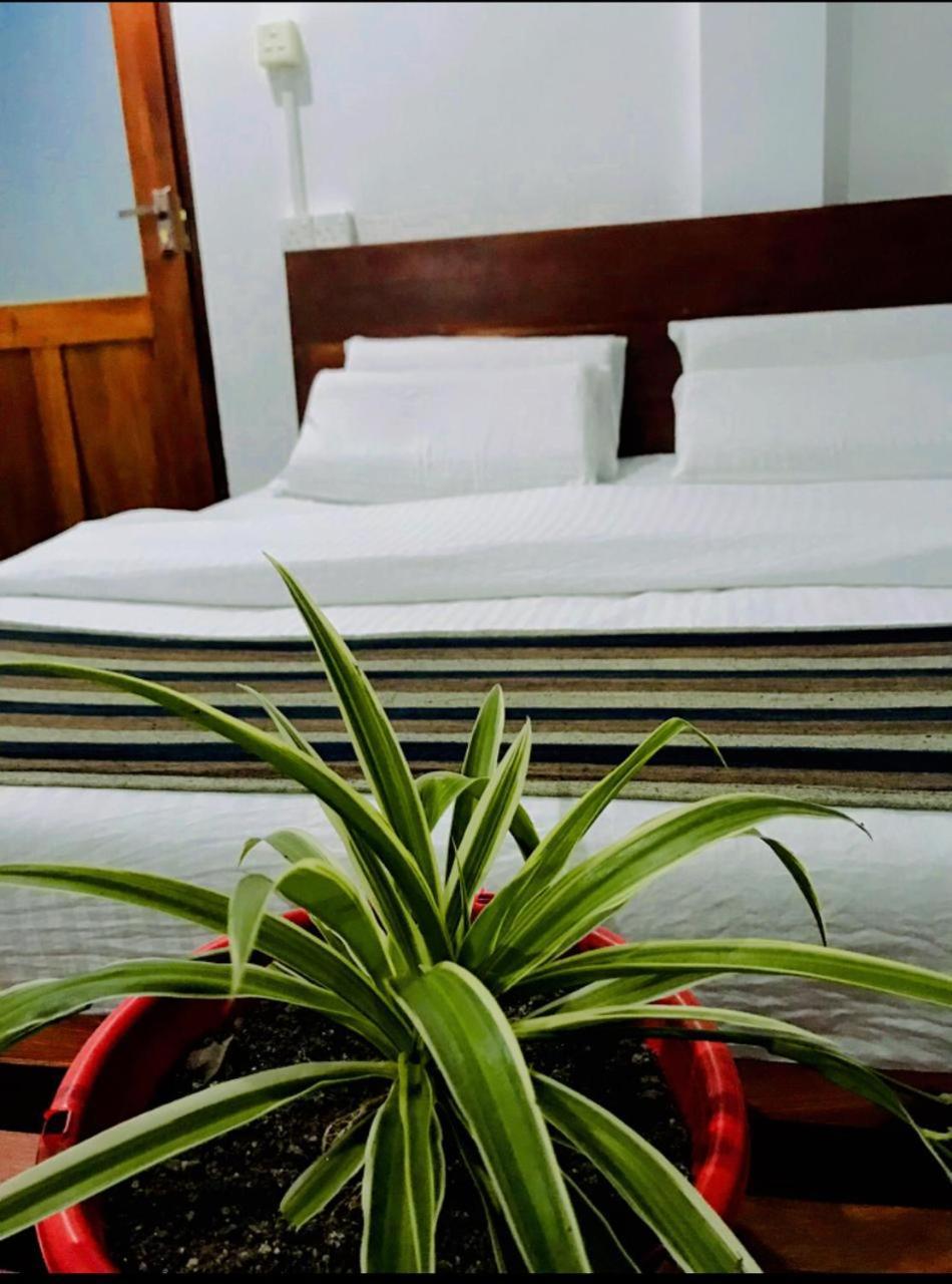 Minthu Homestay Ella Extérieur photo