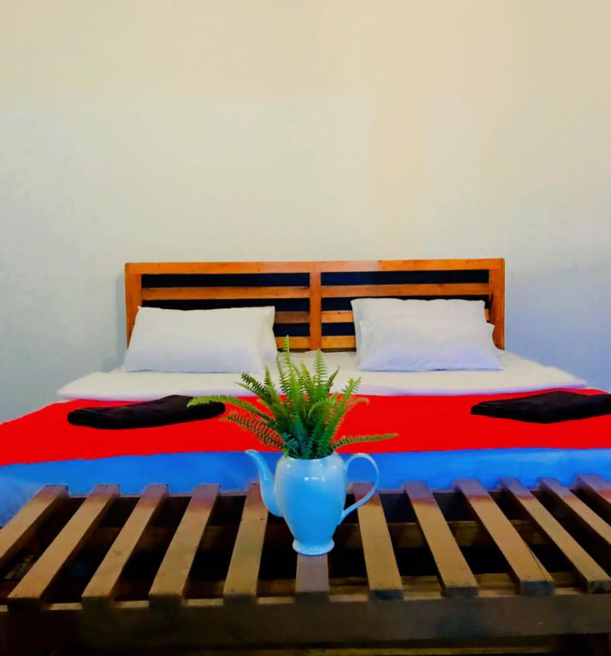 Minthu Homestay Ella Extérieur photo